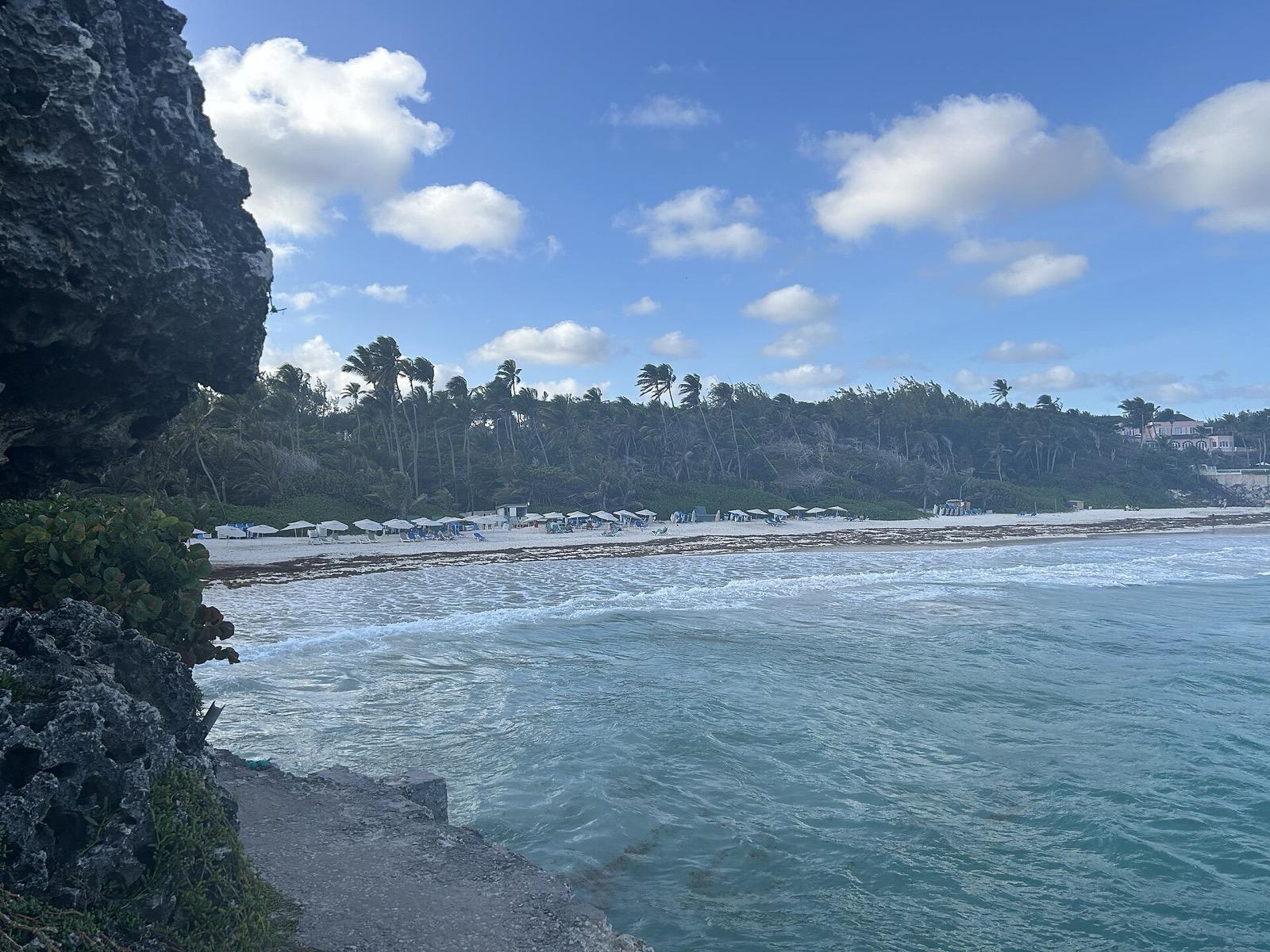 Beach and palm trees in Barbados