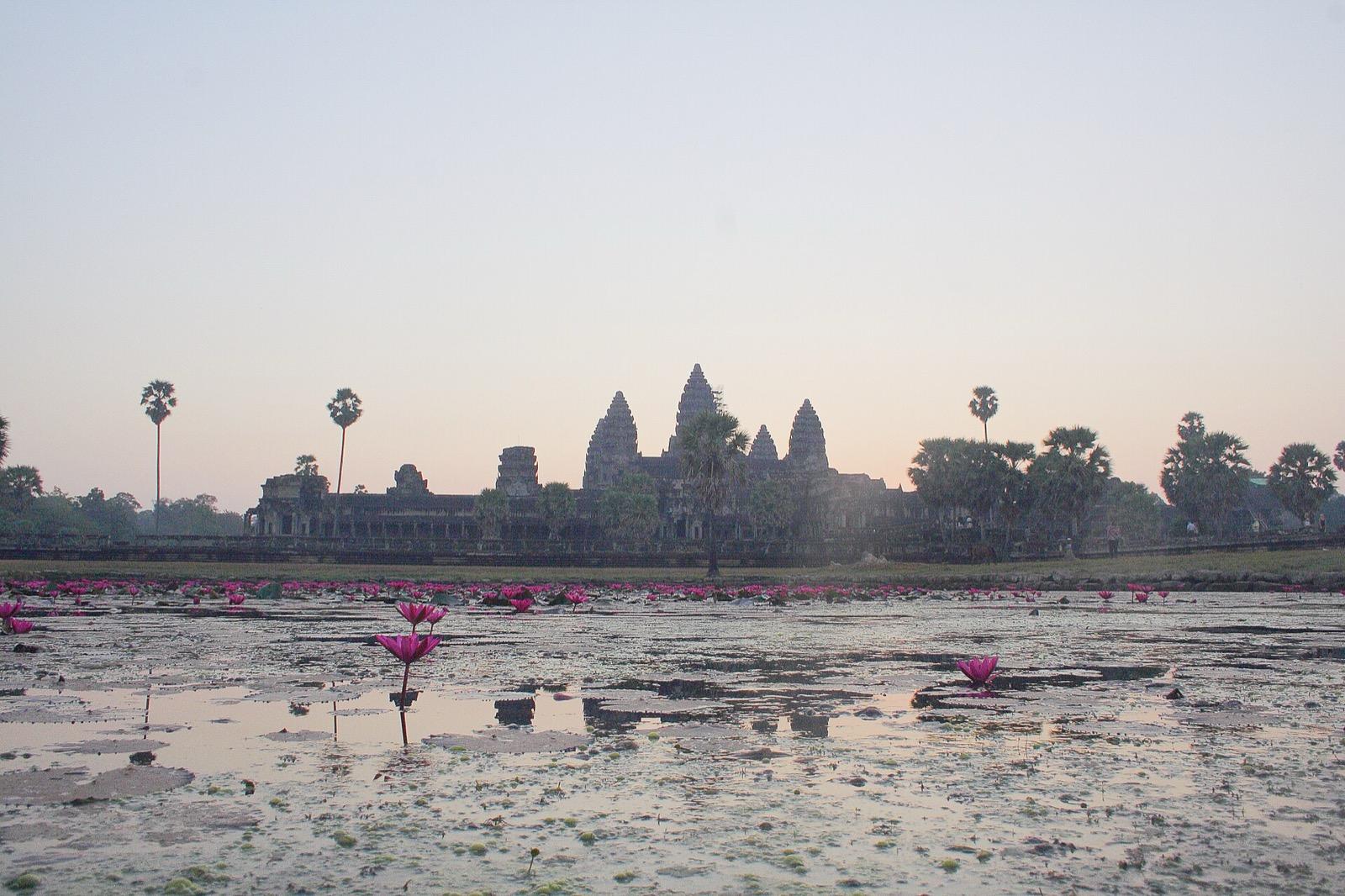 Sunrise over the temples of Angkor Wat, Cambodia
