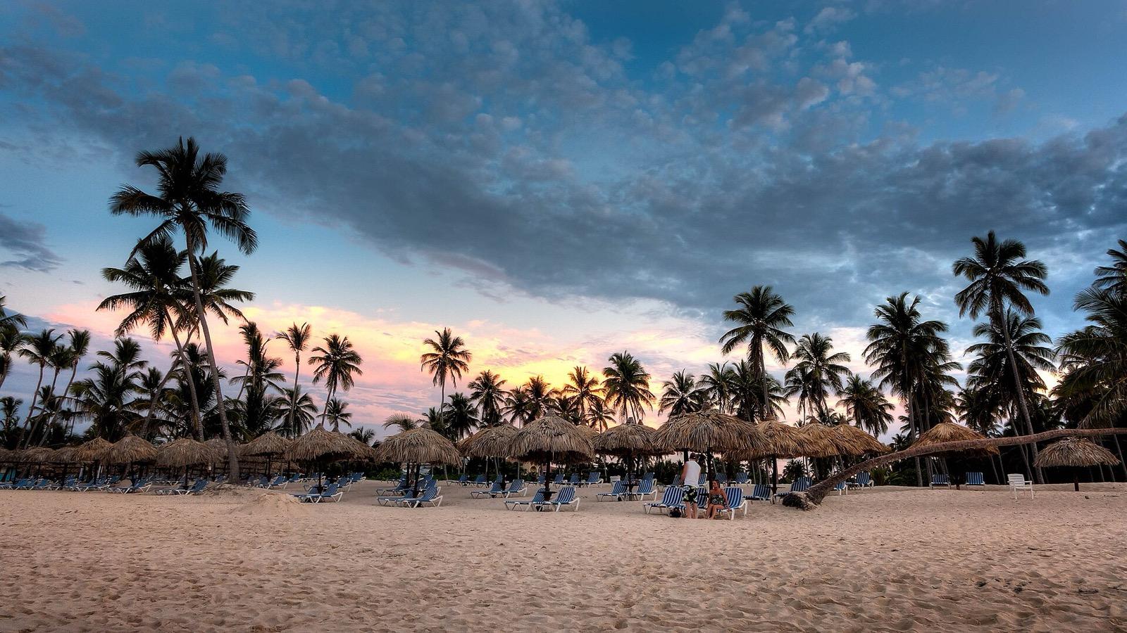 Palm-lined Caribbean beach with turquoise sea in the Dominican Republic
