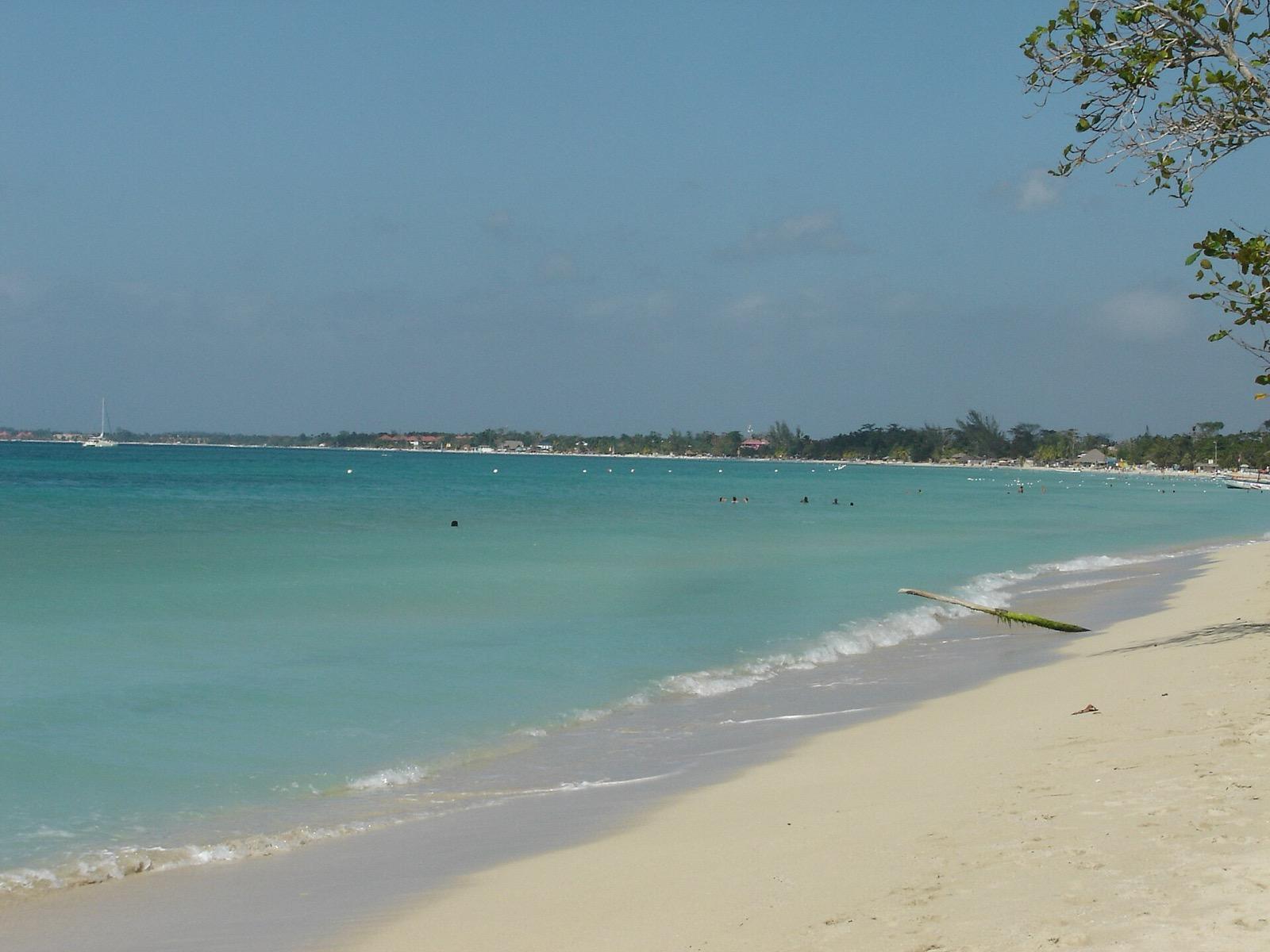 Palm-fringed Caribbean beach with turquoise water on Jamaica's north coast