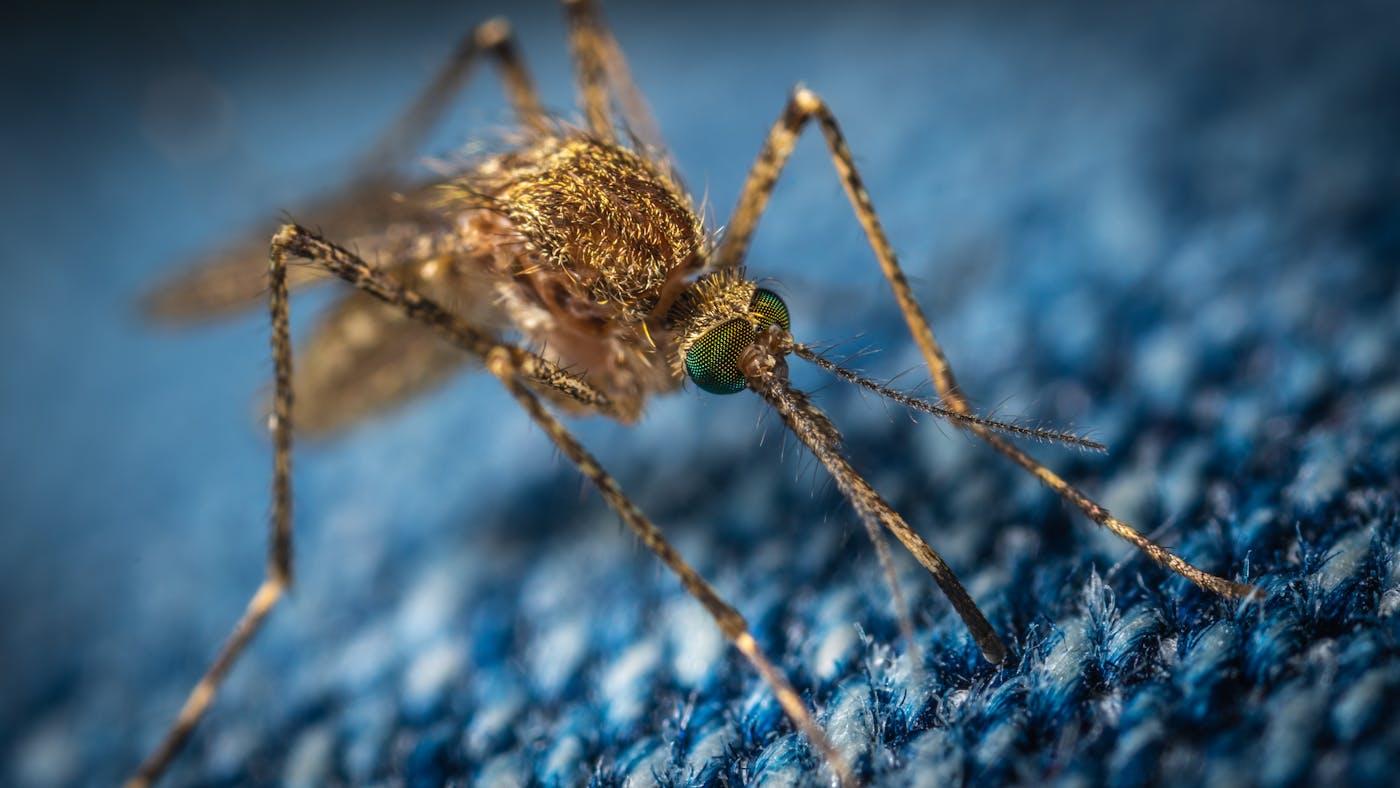 Mosquito-bite protection for travel to Ghana